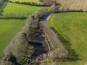 Photo 2- click for photo gallery